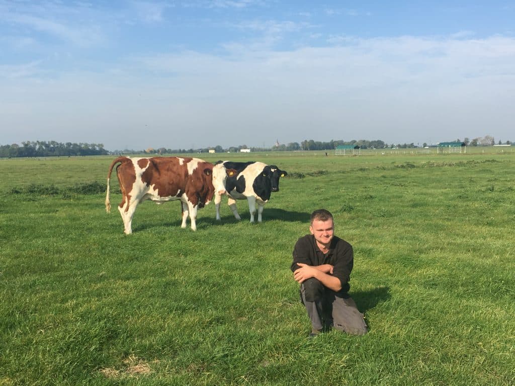 Delflandse Vleesmeesters