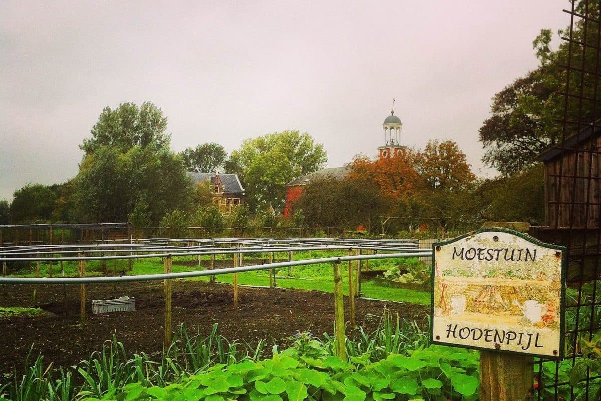 Op Hodenpijl – De Levende Buitenplaats