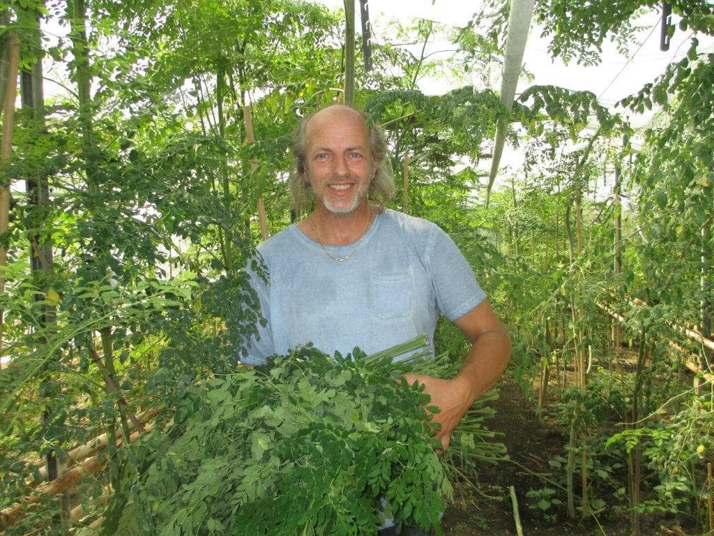 Jouke van den Berg – Moringa's Finest