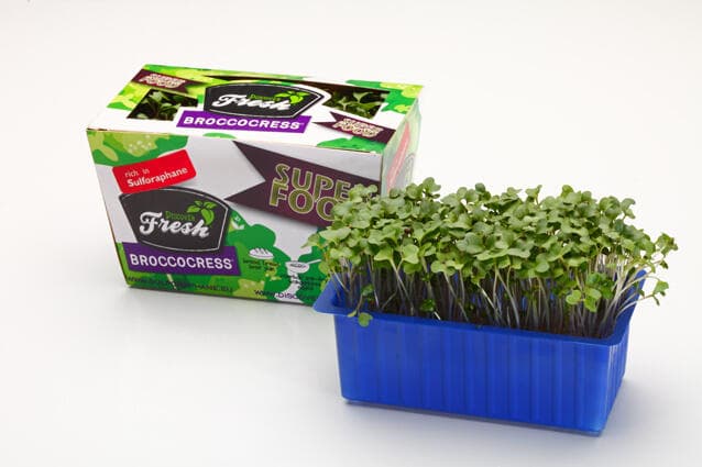 Cressen van Koppert Cress