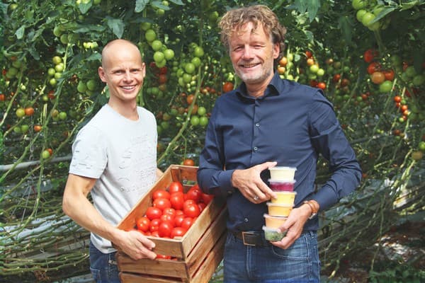 Groentegoed