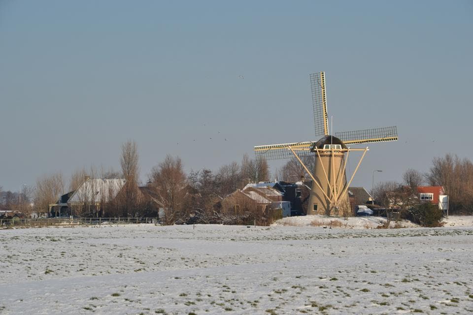 Molen de Drie Lelies – Maasland
