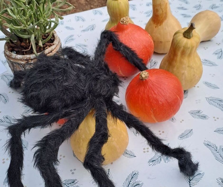 Kids Workshop: Herfst & Halloween