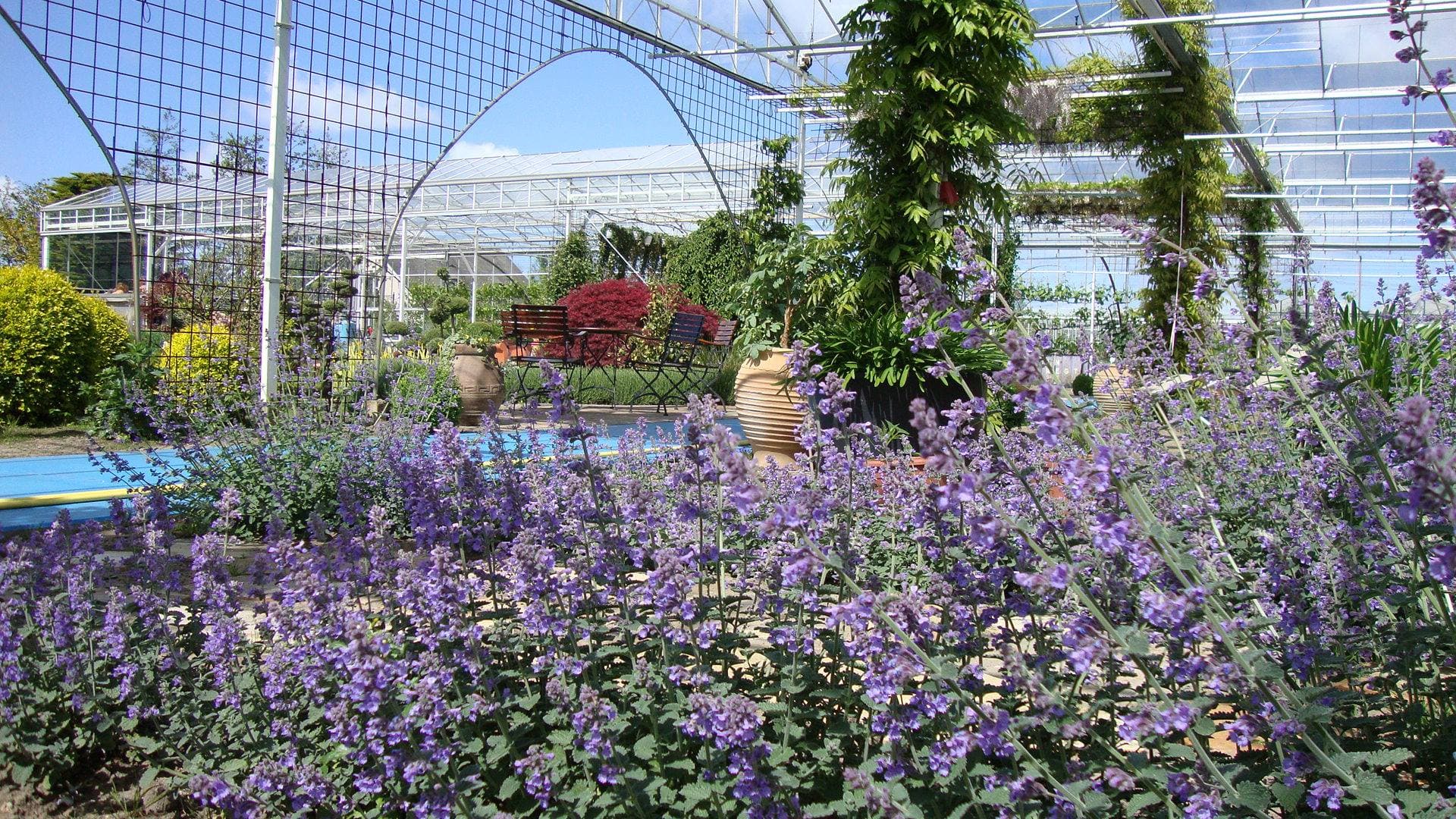 Spirit Garden
