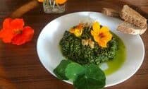Pesto van Oost-Indische kers