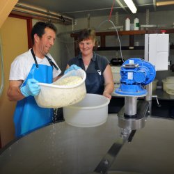 kaasboerderij van winden