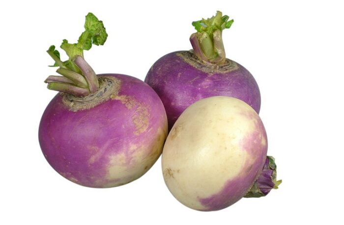 Meiraap/knol per kilo
