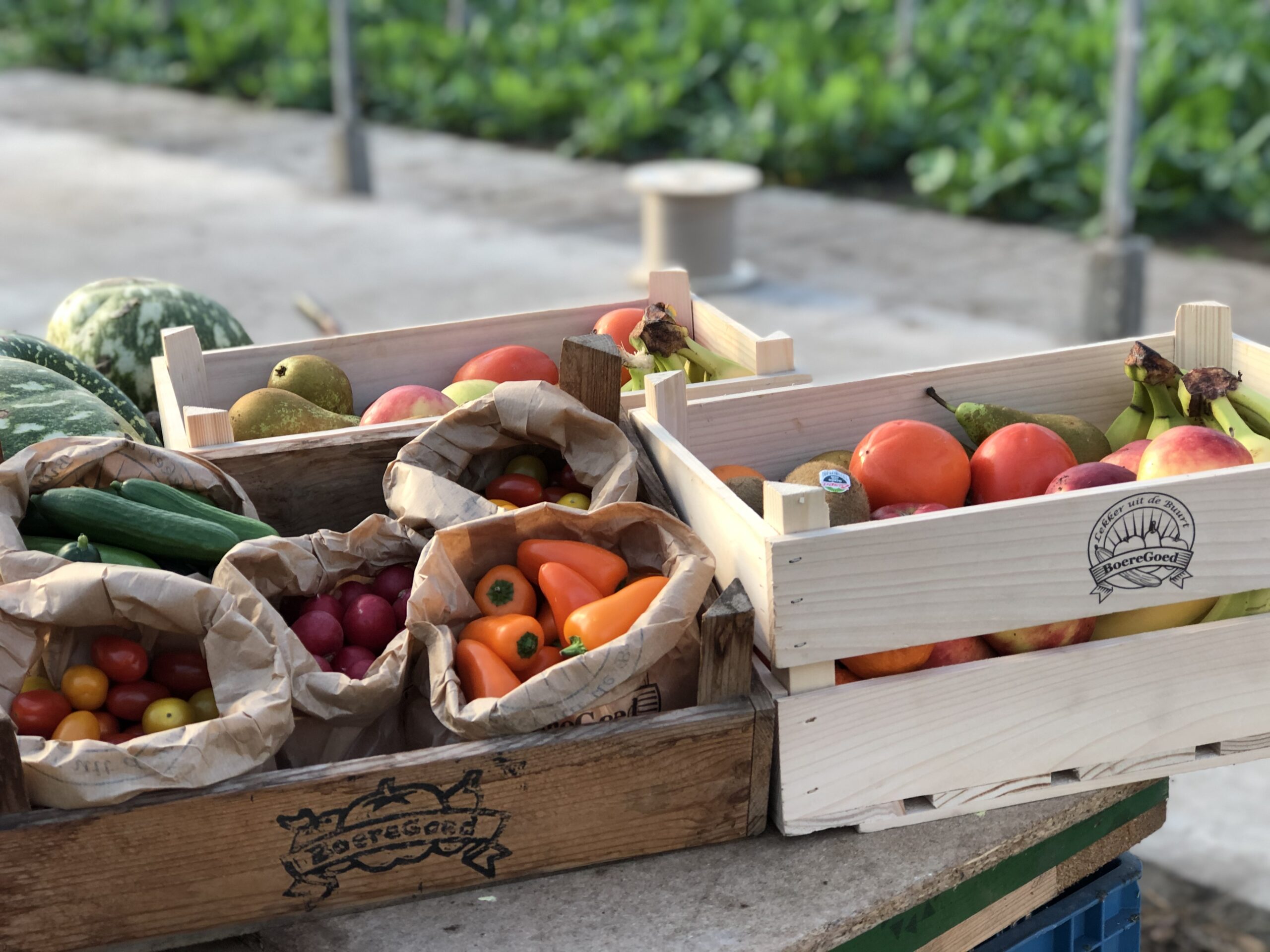 Werkfruit - Afbeelding 6