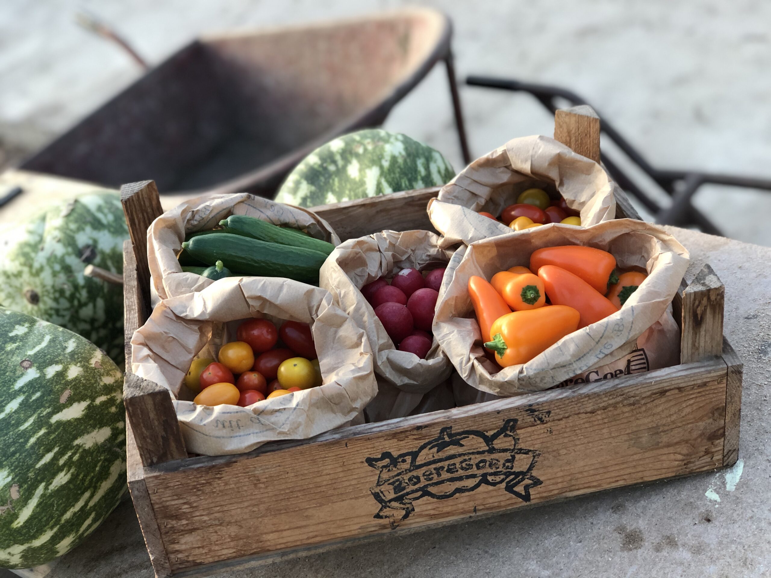 Werkfruit - Afbeelding 5