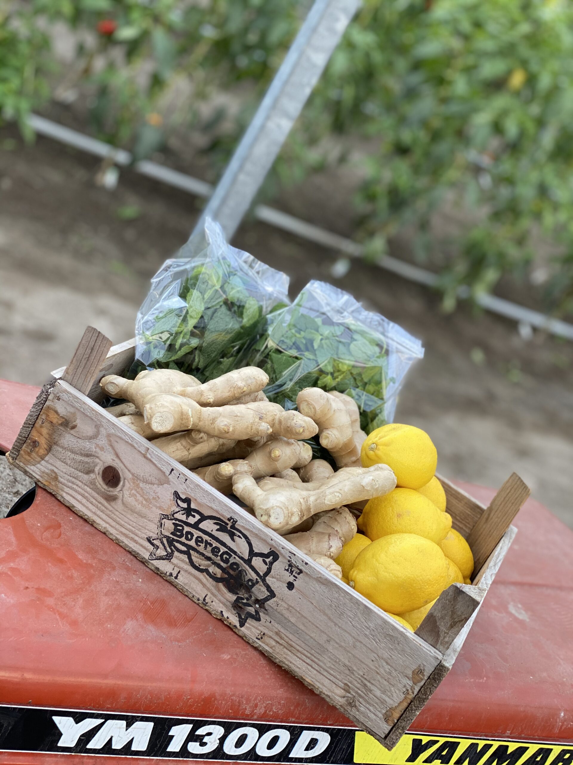 Werkfruit - Afbeelding 4