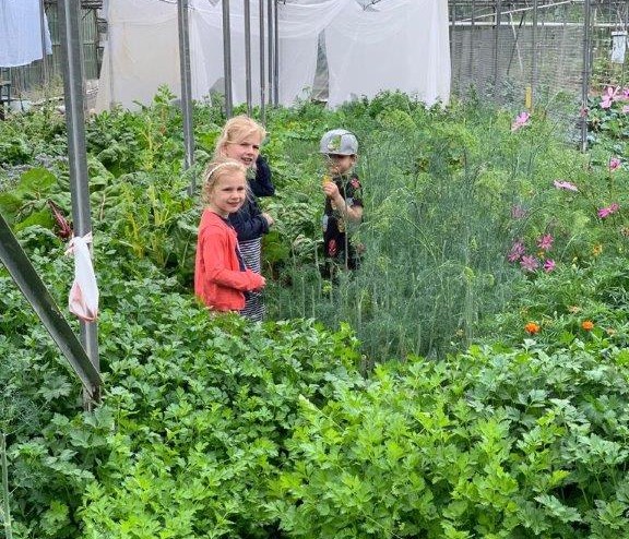 kinderen in de kruiden Farm I See web2